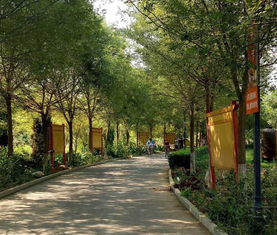 都贊城周刊丨第十二期